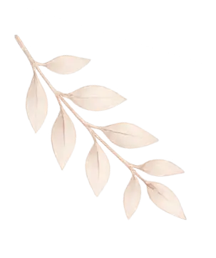 Fit blijven tijdens en na de zwangerschap Bij Tough Mom train je heerlijk in de buitenlucht, gezellig samen met andere zwangere of net bevallen vrouwen en onder professionele begeleiding. Zo wordt er bij Tough Mom bijvoorbeeld rekening gehouden met (het vermijden van) druk op de rechte buikspieren, hartslag, ademhaling, lichaamstemperatuur en het vermijden van explosieve bewegingen. Moeder worden is één van de meest bijzondere gebeurtenissen in je leven. Voor het eerst of niet, dat maakt niet uit. Er groeit een kindje in je. En voor je kindje doe je alles. Je geeft alles. Tough Mom helpt jou ook alles te geven bij het sporten. Heb je het gevoel van ver te moeten komen, heb je klachten of ben je bang iets verkeerds te doen? Bij Tough Mom wordt daar rekening mee gehouden en train je met vrouwen die hetzelfde meemaken.